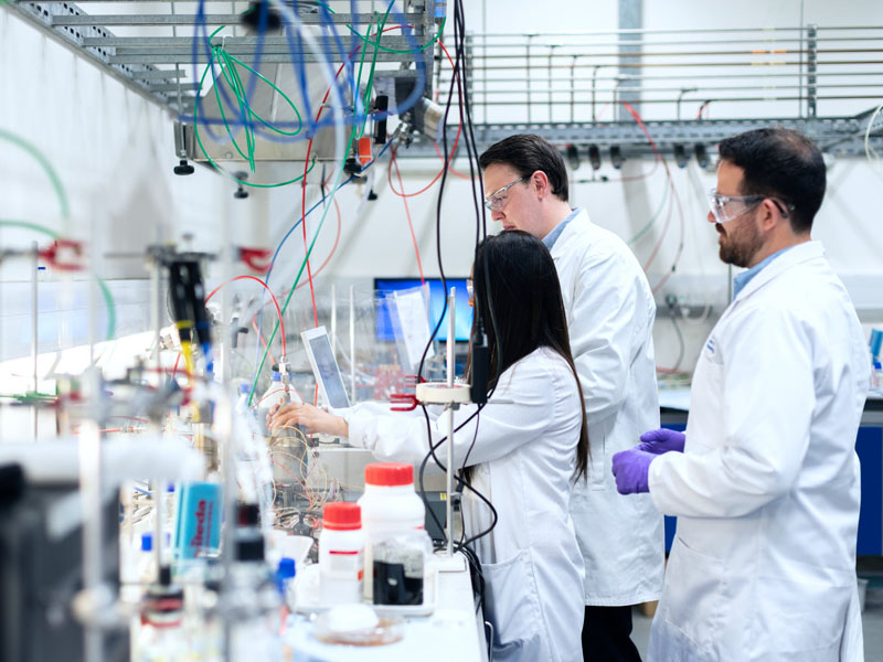 認(rèn)養(yǎng)平臺(tái)開發(fā)定制公司